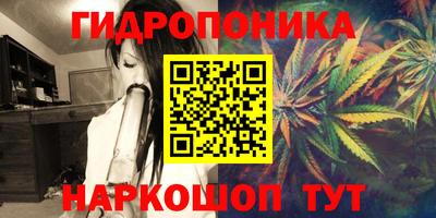 прущие крисы Будённовск