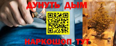 прущие крисы Будённовск