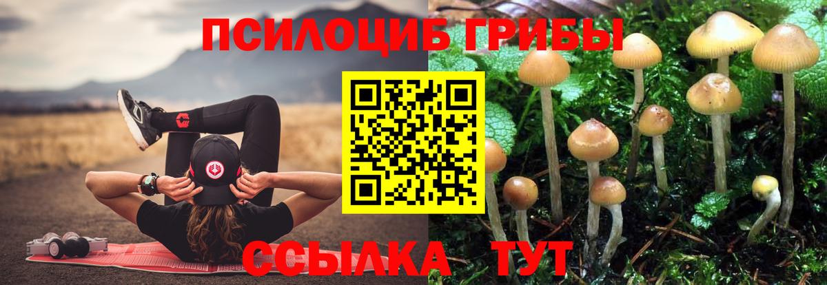 Галлюциногенные грибы мухоморы Самара